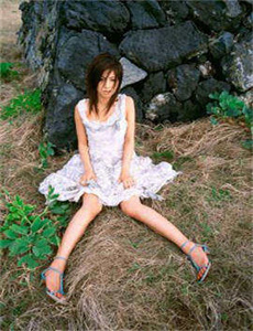 梦幻岛2011